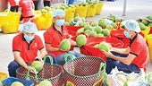 Cảnh báo lừa đảo khi xuất khẩu nông sản sang Trung Quốc