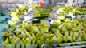Các giải pháp thúc đẩy hoạt động xuất nhập khẩu trong năm 2024