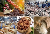 Năm 2024, thị trường Châu Âu vẫn là chủ lực trong chính sách xuất khẩu hàng hóa