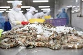 Năm 2024, xuất khẩu tôm sang các thị trường chính sẽ ra sao?