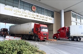 Chuyển mạnh sang xuất khẩu chính ngạch gắn với xây dựng thương hiệu