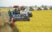 Tăng trưởng xuất khẩu nông sản từ Hiệp định CPTPP