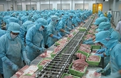 Ứng phó phòng vệ thương mại: Doanh nghiệp phải chuẩn bị từ sớm, từ xa