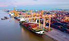 Doanh nghiệp xuất khẩu gặp khó khi tàu nước ngoài đột ngột tăng phí