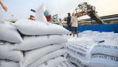 Xuất khẩu gạo: Định vị thương hiệu để nâng giá trị tại thị trường quốc tế