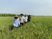 Xuất khẩu các sản phẩm nông nghiệp 3 tháng tăng gần 100%