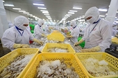 Đơn hàng của doanh nghiệp khởi sắc, nông nghiệp xuất siêu 3,36 tỷ USD