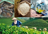 Tiềm năng xuất khẩu hàng công nghiệp sang Algeria và những lưu ý