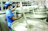Cảnh báo sớm giảm rủi ro trong phòng vệ thương mại