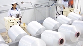Xơ sợi staple nhân tạo từ polyeste – Bra-xin điều tra chống bán phá giá