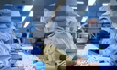 Gia tăng xuất khẩu sang thị trường Bắc Âu: Những quy định doanh nghiệp cần lưu ý