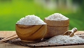 Xuất khẩu gạo: bên mua chi phối ‘cuộc chơi’ sau các phiên mở thầu tiêu chuẩn