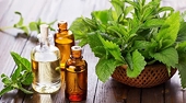 Lấy ý kiến Doanh nghiệp về Dự thảo của Thái Lan đối với dung môi chiết xuất trong sản xuất phụ gia thực phẩm