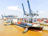 Chi phí logistics tăng cao: Doanh nghiệp chuyển hướng xuất khẩu