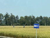 Xuất khẩu nông sản tăng gần 24%