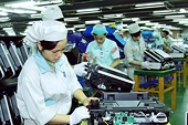 Xuất khẩu phục hồi mạnh, là điểm sáng trong bức tranh kinh tế