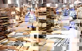 Xuất khẩu gỗ và sản phẩm gỗ tăng trưởng tích cực