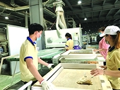 Đồ nội thất chiếm hơn 60% tổng trị giá xuất khẩu gỗ và sản phẩm gỗ