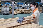 "Tín hiệu sáng" cho doanh nghiệp xuất khẩu gỗ