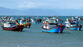 Gỡ 'thẻ vàng' IUU: Mất kết nối giám sát hành trình, nhiều ngư dân gặp khó