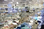 Nhiều thay đổi trong kiểm dịch sản phẩm động vật nhập khẩu