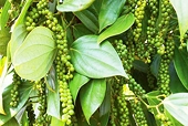 Cảnh báo tình trạng mất hàng hóa khi xuất khẩu