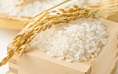 Áp giá sàn xuất khẩu gạo là không nên