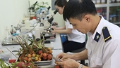 Áp dụng biện pháp kiểm dịch động, thực vật theo tiêu chuẩn quốc tế