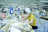 Doanh nghiệp kỳ vọng bức tranh xuất khẩu sáng hơn