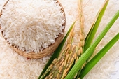 Philippines chính thức giảm thuế nhập khẩu gạo xuống còn 15%