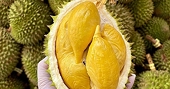 Nguyên nhân Trung Quốc ngừng nhập sầu riêng từ một số vùng trồng Việt Nam