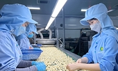 Doanh nghiệp xuất khẩu sản phẩm chế biến, chế tạo sang thị trường Bắc Âu cần lưu ý gì?