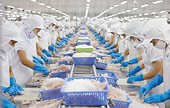 Xuất khẩu thủy sản khởi sắc
