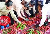 Thương mại hai chiều Việt Nam – Trung Quốc chính thức vượt 110 tỷ USD