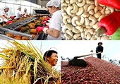 Làm gì để nông sản xuất khẩu không bị phạt ‘thẻ đỏ”?