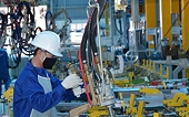 Xuất khẩu hàng hoá: Vì sao doanh nghiệp nội ‘lấn át’ doanh nghiệp FDI?