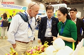 Mối lo thêm nhiều thách thức mới cho hàng Việt ở thị trường Bắc Mỹ