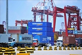 Đăng ký mã số xuất khẩu sang Trung Quốc, có doanh nghiệp doanh thu "khủng" cũng không đáp ứng được yêu cầu