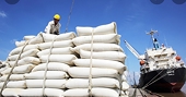 Xuất khẩu gạo sang Ukraine tăng gần 40 lần