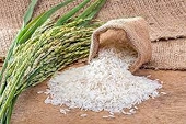 Philippines có thể nhập 4,6 triệu tấn gạo trong năm 2024