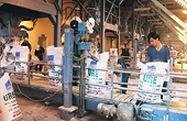 Việt Nam thiết lập môi trường cạnh tranh lành mạnh