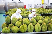 Hàn Quốc là thị trường thứ hai nhập khẩu rau quả của Việt Nam