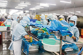 Thương mại song phương Việt Nam - Nga tăng 45,5%, nhiều nhóm hàng xuất khẩu duy trì tăng trưởng cao