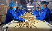 Xây dựng hệ sinh thái tận dụng các FTA để đẩy mạnh xuất khẩu quế và sản phẩm từ quế
