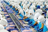 Xuất khẩu thuỷ sản cuối năm tăng tốc mạnh, mục tiêu đạt kim ngạch 10 tỷ USD