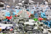 Việt Nam là quốc gia đứng thứ 3 thế giới về xuất khẩu thủy sản