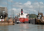 Panama dỡ bỏ hạn chế hoạt động qua lại của tàu hàng