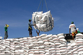 Xuất khẩu gạo tăng 21,7%, tràn trề mục tiêu đạt 5 tỷ USD năm 2024