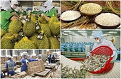 Xuất khẩu nông lâm thủy sản năm 2024: Cầm chắc trong tay 54 - 55 tỷ USD