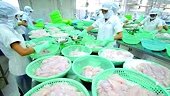 Một số doanh nghiệp được bỏ thuế chống bán phá giá cá tra vào Hoa Kỳ